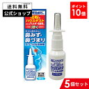 【第2類医薬品】エプールN点鼻薬 5個セット バンキョードラッグ 点鼻薬 鼻炎薬 鼻炎 鼻 詰まり 市販 薬 スプレー 点鼻スプレー 花粉 ハウスダスト くしゃみ 鼻水 鼻づまり 市販薬 効く ナファゾリン塩酸塩 リドカイン 1日3回 鼻炎スプレー