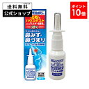 【第2類医薬品】エプールN点鼻薬 バンキョードラッグ 点鼻薬 鼻炎薬 鼻炎 鼻 詰まり 鼻水 くしゃみ 鼻づまり 市販 薬 スプレー 点鼻スプレー 点鼻薬スプレー 鼻スプレー 花粉 ハウスダスト 市販薬 効く ナファゾリン塩酸塩 リドカイン 1日3回 鼻炎スプレー 鼻炎薬スプレー
