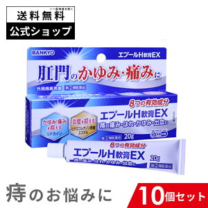 【指定第2類医薬品】エプールH軟膏EX バンキョードラッグ 10個セット きれ痔の痛み さけ痔の痛み いぼ痔の痛み 肛門のかゆみ 肛門の痛み かゆみ 出血の緩和 消毒 送料無料 バンキョードラッグ 万協製薬