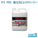 デイリーメンテナンス　R'S　PRO　強力カビとりクリーナー 5kgx3本入 リンレイRINREI 送料無料