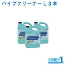 パイプクリーナーL 排水口用洗浄剤 5.5kg×3本セット ニイタカ 業務用 お掃除