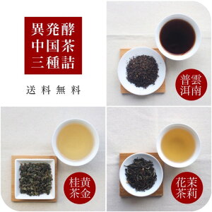 〜異なる発酵の 中国茶 お得な お試しセット！！〜発酵度合いで味わいが変わるんです！！安渓 黄金桂／雲南 プーアル茶 ／ 特級 茉莉花茶（ジャスミン茶） 甘い ジャスミンティー 烏龍茶 プーアール茶 お茶