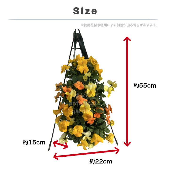 �ե��ѥ���6�ꡡ5�祻�åȡ��ϥ󥮥󥰥Х����åȡ��������ץ쥼��ȡ����ء��ץ�󥿡����ɳݤ��������ǥ˥󥰡����ء���ڡ��󤻿���