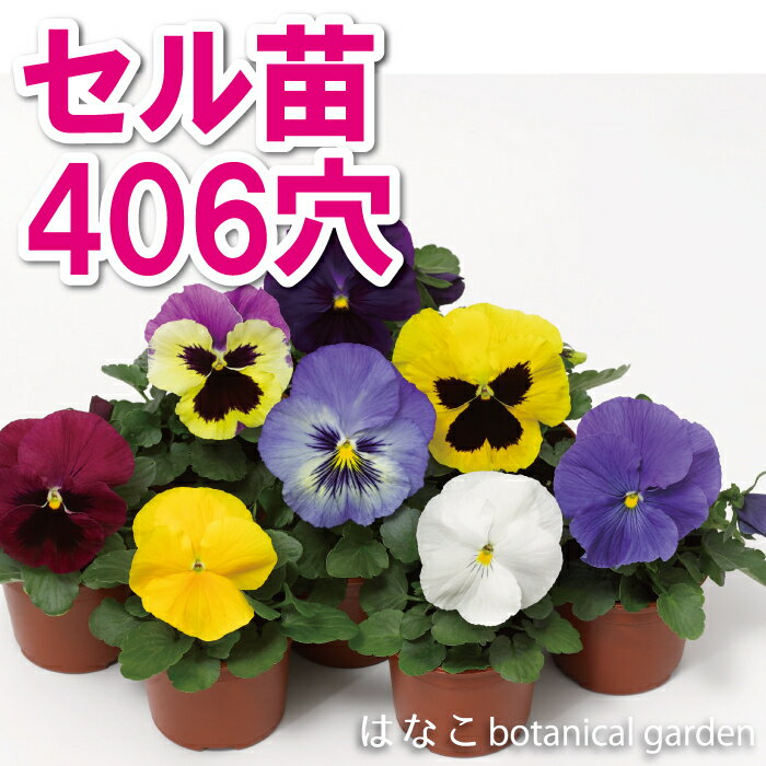 プラグ苗パンジーミックス406穴3...