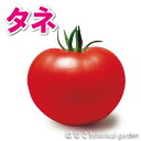 【野菜のタネ・種】ホーム桃太郎トマト(約1,000粒)