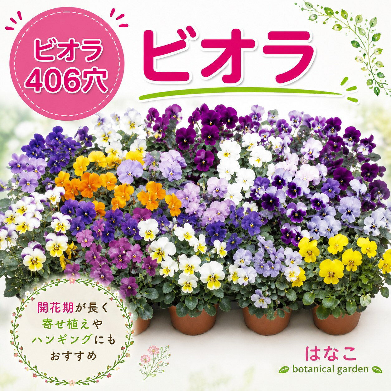 商品情報保証数量370本開花プラグご到着から約5〜8週間後※あくまで目安になりますのでご注意ください。※天候や管理等の栽培条件等で変わってまいります。 納期※天候や植物の生育状態等により、納期予定日が前後する場合がございます。※発送前に、お届け日のご連絡をしております。当店からのメールが受信できるよう設定をお願い致します。 注意事項こちらの商品はプラグ苗になります。※モニターの発色具合によって色合いが異なって見える場合がございます。※植え付け後の栽培条件や天候等による品質低下、放置による品質低下につきまして責任を負えかねます。※ミックス苗は性質上、色の違いで苗に大小の差がおこる品種もございます。※到着時直ちに開封し、商品の品質や荷崩れ等ないかご確認をお願い致します。※万が一荷崩れ等あった場合には、速やかに当店までご連絡をお願い致します。※到着後、乾燥気味になっている場合がある為、ご到着後は必ず状態を確認し、たっぷり水を掛けて下さい。※生き物ですので、在庫がございましても出荷時商品状態が悪い場合に、ご注文変更をお願いする場合がございます。移植使用用の商品の為プラグの破損については保証対象外となります【花のセル苗】プラグ苗　ビオラ　ミックス　406穴370本保証　特価　播種　自家用　業務用　特価 ビオラ　ミックスのプラグ苗・セル苗（370本）です。即定植可能！花壇や直売にいかがですか？ メリット多数のプラグ・セル苗 多量の花の苗が必要な方にお勧めしたいのがこちらの商品です。種の購入、播種資材の購入、播種、発芽…etc移植までの手間と費用を一挙に節約できます！※写真はイメージです。 届いてすぐに植え付けOK プランター・ポット・ハンギングにもすぐに使える 家庭用から業務用まで 移植までのロスを短縮したい方！ 大量の苗をお探しの方！ 直売所や学校の花壇関係の方！ カラフルで魅力的な色合いが特徴です。このセットでは、自家用から業務用まで幅広い用途に対応しています。各苗は健康的で生育が良いため、庭やベランダ、公共の花壇など、様々な場所を彩ることができます。ビオラはその耐寒性と長い開花期により、秋から春にかけて楽しむことができるため、ガーデニング初心者からプロのランドスケーパーまで、多くの人に愛されています。このミックスセットは、パープル、イエロー、ホワイトなど、様々な色の花が含まれており、鮮やかなコントラストを楽しむことができます。手軽に美しい花壇を作りたい方や、大量の花を必要とする業務用途にも最適です。 【受注生産】ご注文確定から約1.5ヶ月後の発送予定1