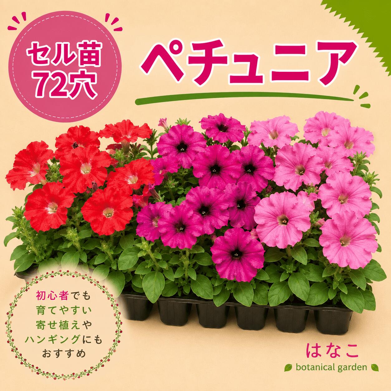 楽天市場】ペチュニア 種（苗物｜ガーデニング・農業）：花・ガーデン