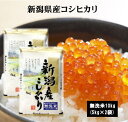 【乾式無洗米】1年新潟県産こしひかり10kg(5kg×2袋) 無洗米 お米 米 10kg 送料無料 コシヒカリ こしひかり 新潟県