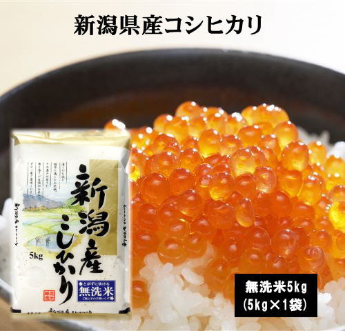 2年産【乾式無洗米】新潟県産こしひかり5kg(5kg×1袋) 無洗米 お米 米 5kg 送料無料(北海道・沖縄県は除く)