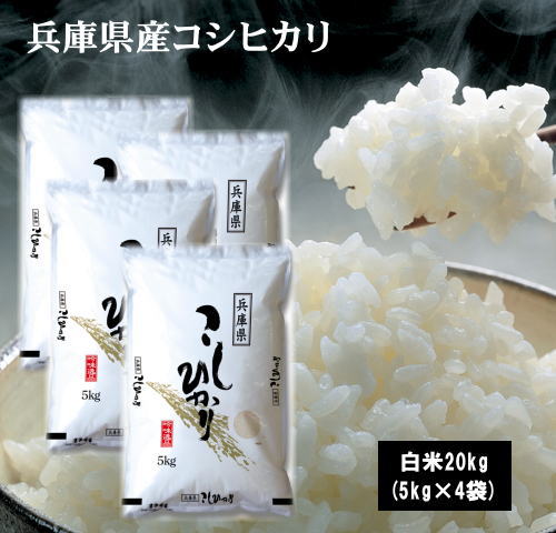 ●新米●1年産兵庫県産こしひかり20kg(5kg×4袋)　新米 お米 米 20kg ...