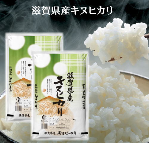 1年産滋賀県産きぬひかり10kg(5kg×2袋)　米　10kg　送料無料...