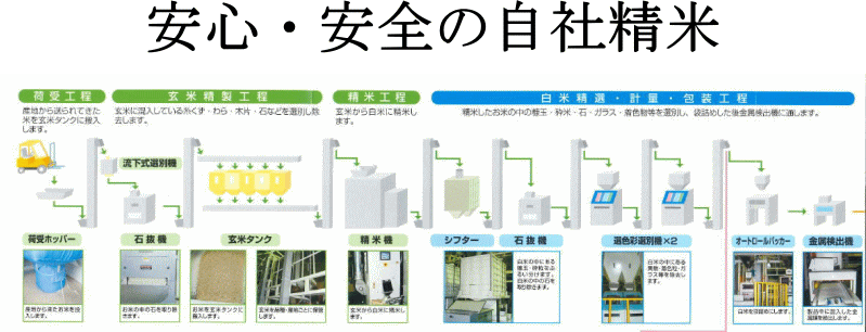 ぴかいち倶楽部10kg(5kg×2袋) お米 米 10kg ブレンド米 送料無料