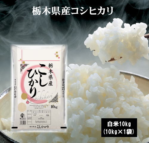 令和元年産栃木県産コシヒカリ10kg(10kg×1袋)...