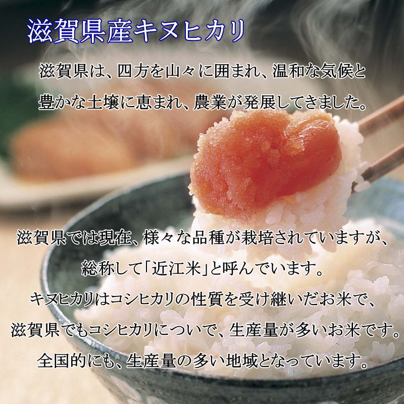 サンプル画像2