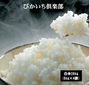 ぴかいち倶楽部5kg×4袋 20kg お米 米 白米 20kg ブレンド米 送料無料 沖縄県は除く