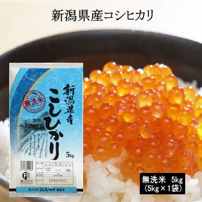 5年産【乾式無洗米】新潟県産こしひかり5kg(5kg×1袋) 無洗米 お米 米 5kg 送料無料(北海道・沖縄県は除く)