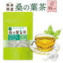 桑の葉茶 ティーパック 2g×30包 桑茶 桑の葉 くわの葉茶 国産 送料無料 青汁 無農薬 熊本県産 糖質制限 カフェインレス くわ茶 イミノシュガー