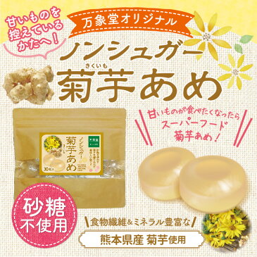 シュガーレス 菊芋 飴 キャンディー あめ 菊芋 きくいも 30粒 送料無料 お菓子 イヌリン ノンシュガー 糖質オフ 糖質制限 糖質対策