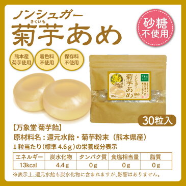シュガーレス 菊芋 飴 キャンディー あめ 菊芋 きくいも 30粒 送料無料 お菓子 イヌリン ノンシュガー 糖質オフ 糖質制限 糖質対策