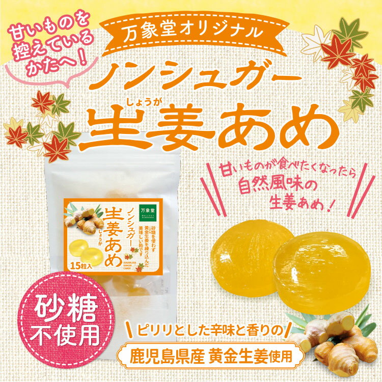 シュガーレス 生姜 飴ノンシュガー 15粒 キャンディー あめ しょうが 送料無料 お菓子 糖質オフ 糖質制限 糖質対策