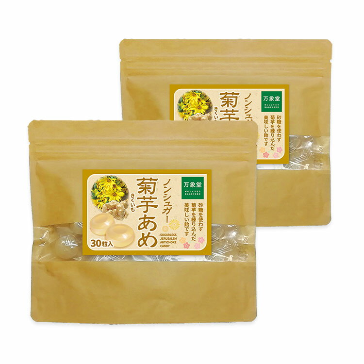 シュガーレス 飴 キャンディー 菊芋 きくいも キクイモ 30粒×2 あめ 送料無料 お菓子 ノンシュガー 糖質オフ 糖質制限 のど飴 ハーブキャンディー アメのサムネイル