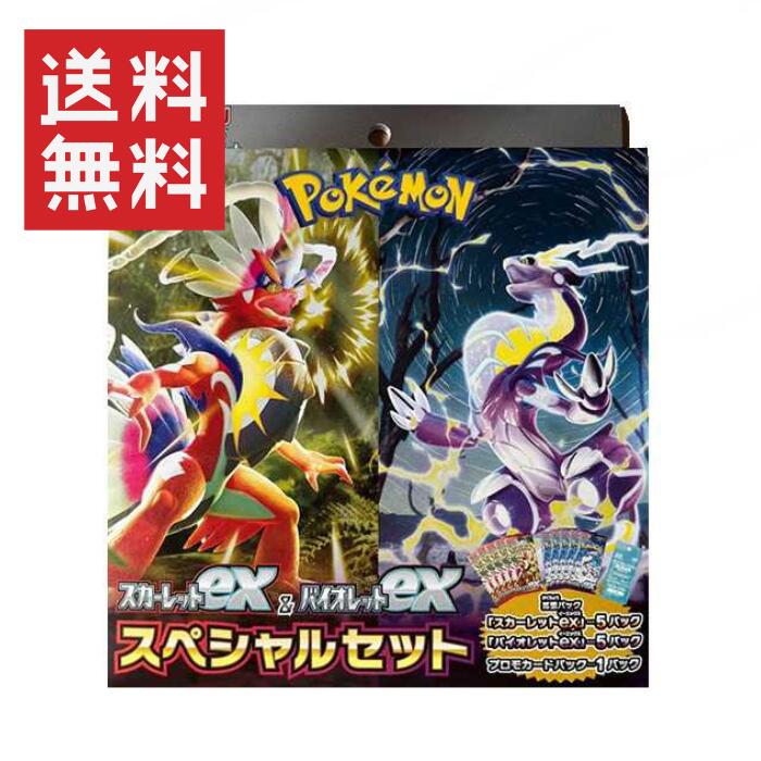 数量限定となります、お早めにどうぞ【最大200%ポイントバックチャン...