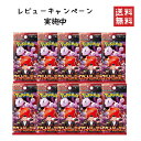 【レビューキャンペーン実施中】ポケモンカード 拡張パック ロケット団の栄光 10パック バラ売り ポケカ カードゲーム ・ロケット団の栄光 全国送料無料