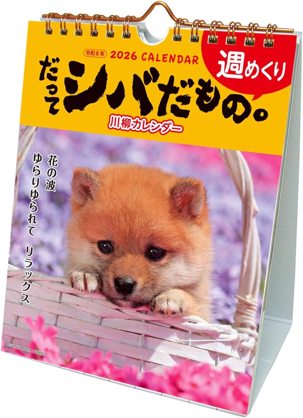 アクティブコーポレーション 2026 カレンダー 卓上 だってシバだもの。 26ACL-566 2026年 1月始まり