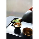 【送料無料】酒器揃 ジャパンゴールド アワサカ 日本製 食洗機対応 レンジ対応 おちょこ お猪口 徳利 とっくり セット ペア お酒 熱燗 ギフトセット おしゃ...