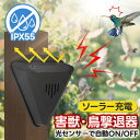 動物撃退器 2個セット鳥撃退器 害獣撃退 猫除け 音で撃退 13種類音 果物保護 ソーラー充電 ソーラーパネル 昼自動ON 夜自動オフ IP55防水 ガラス避け...