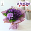 そのまま飾れる花束 ムーンダスト スタンディングブーケ カーネーション 花プレゼント プレゼント 誕生日 花束 ブーケ 生花 花瓶のいらない花束 60代 70代...
