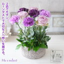 ムーンダスト アレンジ 誕生日プレゼント 高級 花 ギフト 生花 カーネーション バラ 紫 パープル アンティーク調 クラシックな装飾 古希 喜寿 誕生日 70歳 77歳 お祝い 結婚祝い 記念日 お見舞い 御供 仏花 女性 上品な父の日ギフト