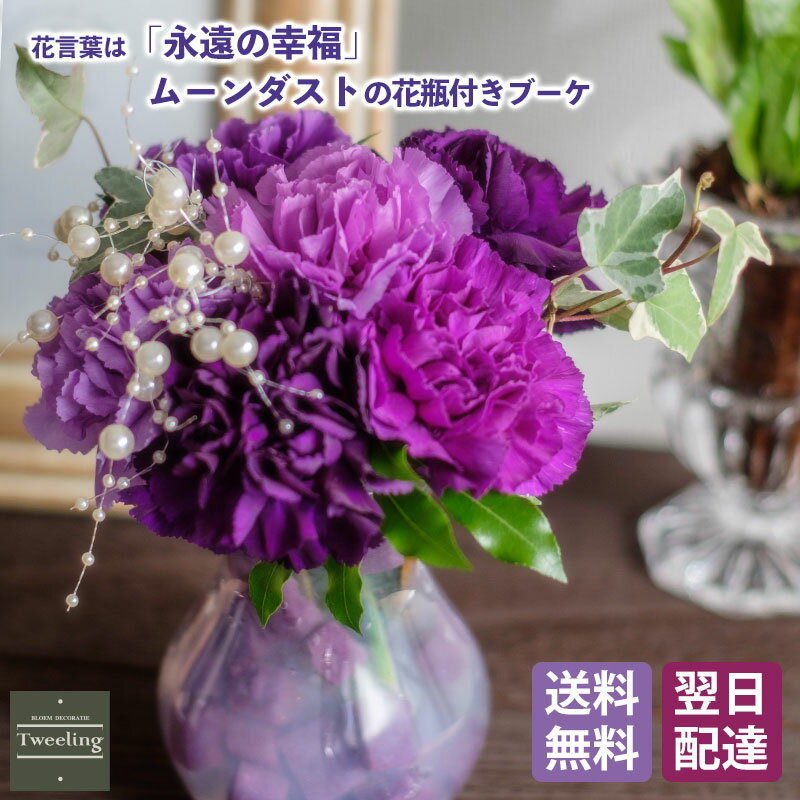 カーネーション 母の日 花 プレゼント 喜ぶもの 予約 ムーンダスト 花瓶付き花束 古希 喜寿 お祝い お花 誕生日 ギフト プレゼント 青い花 紫 カーネーション 花 スクレ 贈り物 お見舞い 上品 パープル お供え おばあちゃん 長寿 お祝い 花瓶 おしゃれ 幼稚園 小学校 中学校 高校 大学