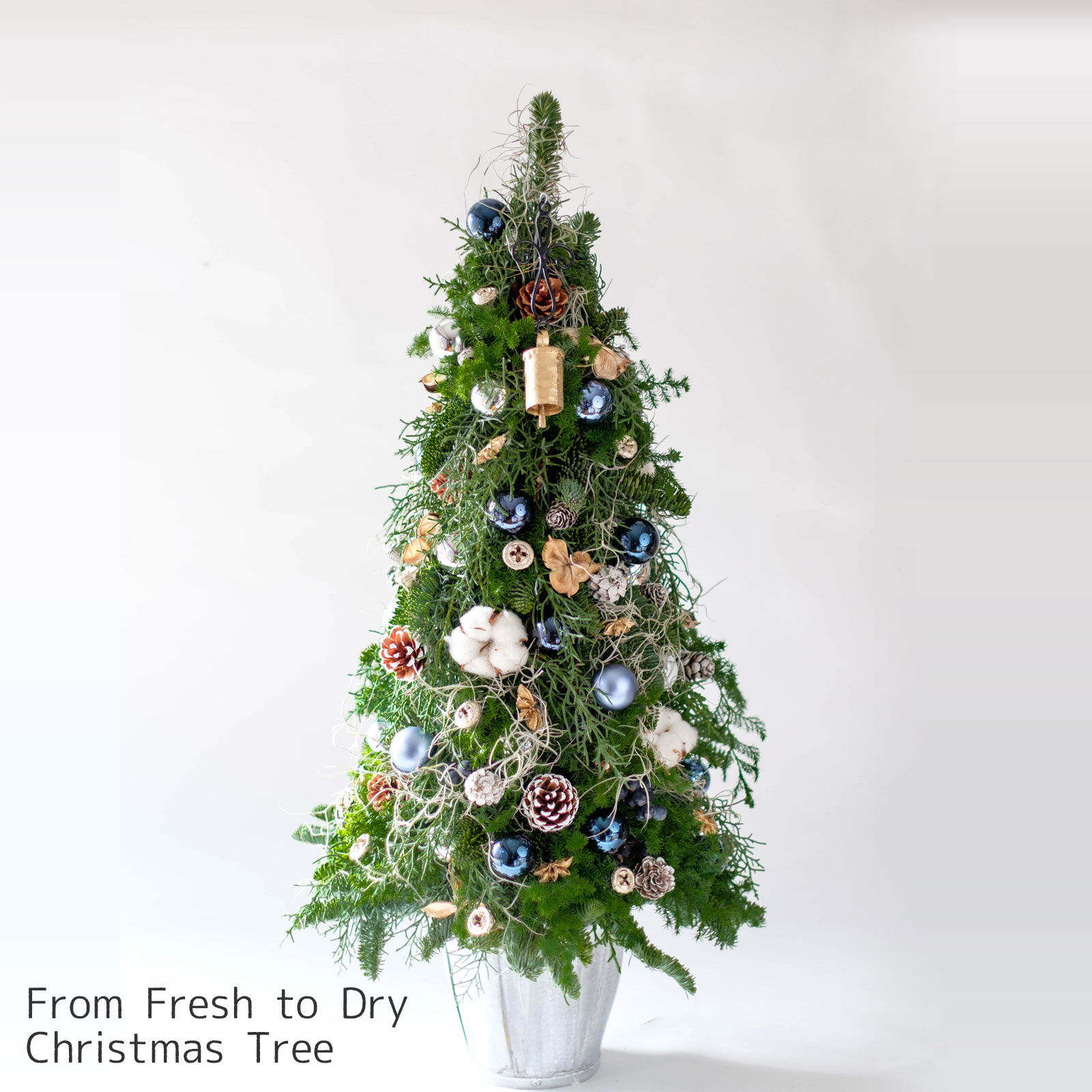 ＼早割クーポン／クリスマス ツリー 生花 もみの木 樅の木 生もみの木 クリスマス飾りクリスマスオーナメント ドライフラワー プリザーブドフラワー エアプランツ ウスネオイデス アンティーク 誕生日 引越し祝い 新築祝い 開店祝い お礼 お返し ギフト プレゼント 送料無料