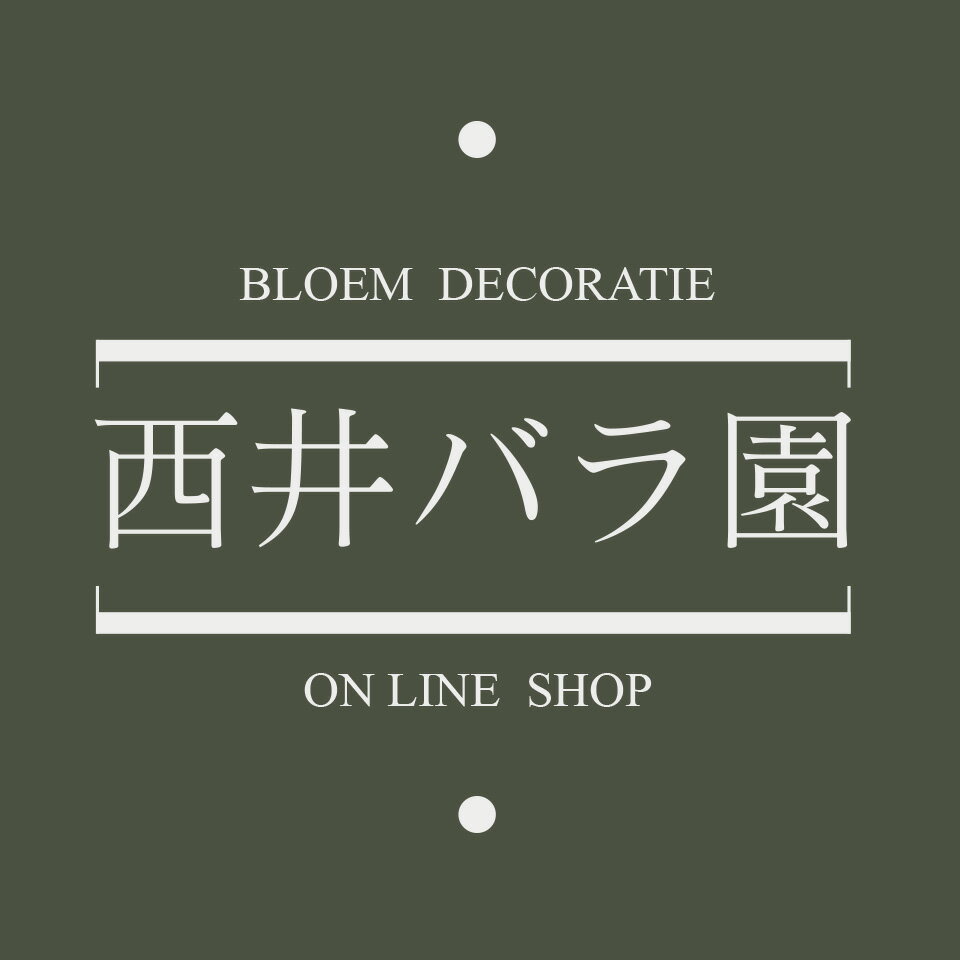 Shop icon