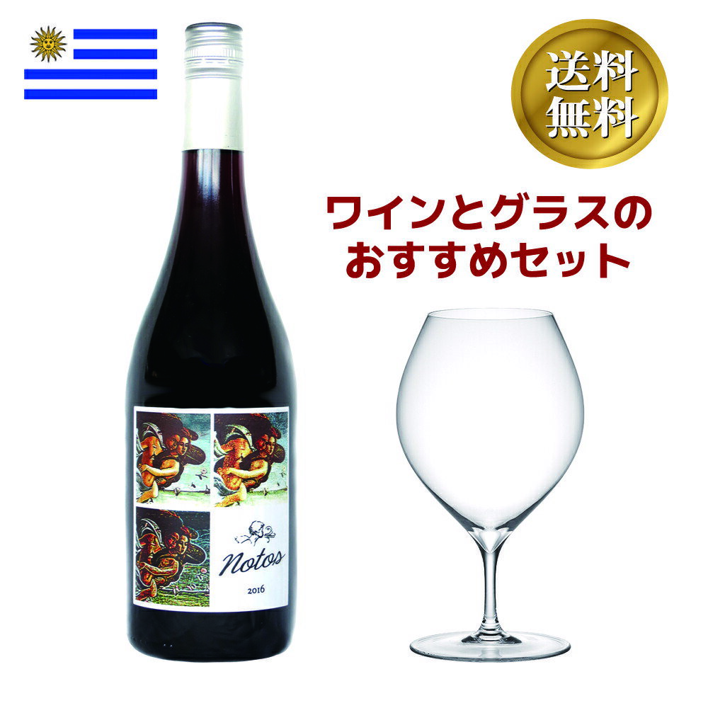 ワインとグラスおすすめセット ウルグアイ赤ワインとピッコロ15ozワイングラス ワインセット
