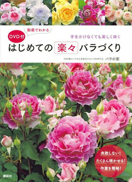 発売日：2017年10月31日 出版：講談社 著者：バラの家 判型：B5変形 ページ数：80ページ ISBN：9784062204927お詫びと訂正 本書『動画でわかるはじめての楽々バラづくり』におきまして、下記の誤りがございました。76頁77頁、バラの栽培カレンダーの肥料の行において、（誤）施肥（IB化成肥料などを1日に1度、規定量を与える） （正）施肥（IB化成肥料などを月に1度、規定量を与える） 誤りをお詫び申し上げ、謹んで訂正いたします。（2017年11月） こちらの商品はシステムの都合上、店頭受取はできなくなりました ポスト投函の為、指定日・指定時間不可となります。 バラ苗や資材、雑貨などと同梱の場合は通常送料になります。 必ずご了承の上ご注文くださいませ。 追加注文での同梱はできなくなりました 楽天のシステム変更に伴い注文時間の異なる商品の同梱はできなくなりました。複数商品をまとめて配送をご希望の場合、同じ買い物かごに入れ同時に決済してください。複数に分かれたご注文の場合、各注文ごとに送料が発生します。 バラの家実店舗での店頭受取をご希望のお客様へ 埼玉県杉戸町のバラの家実店舗での店頭受取をご希望の場合は、ご購入時に備考欄に『店頭受取希望』とお書き添えの上、必ずクレジットカード決済をお選びください。ご不便ご迷惑をおかけしますがご理解とご協力の程、どうぞよろしくお願いいたします。講談社さんから新しいバラの栽培本が発売されました！ 著者はバラの家となっていますが、 この本では楽天市場店 店長の木村裕治が執筆をさせていただきました。 バラは魅力的だけど難しいイメージがあって、 なかなか第一歩を踏み出すことが出来なかった方が、 この本をきっかけにバラを育ててもらえたら…。 そんな思いを胸にわかりやすく丁寧に、そして難しいことを抜きにして、 ポイントを押さえ、できるだけ手をかけず簡単にできる、バラの育て方を書かせて頂きました。 今年からバラを育て始めたばかりでよくわからない方や 一度バラ栽培に失敗した方にも ぜひご参考にして頂き、 夢の「バラのある暮らし」を楽しんで頂けましたらと思います。 本の内容もそうですが、作業の写真やイラストなども多く、 見やすくわかりやすい書面となっています。 また、この本の特徴の一つとして、 おそらくバラ栽培としては最初のDVD付きの本になります。 最初に講談社さんよりDVD付きと話を頂いた時には、 セリフ無しで作業だけ紹介するものだと思い、 DVDについては軽い気持ちで考えていましたが、 いざ撮影が始まるとセリフもあって、 自分で見るのはとても恥ずかしいですが、 写真だけではわからない手順なども 動画でわかりやすく説明することが出来ましたので、 初心者の方にとってはとても参考になる内容となっています。 そして、バラの家の本ということで、 バラの家だけの特色を出せないかと思った時に、 初心者の方にバラ栽培の先輩たちのガーデンやバラを見て ぜひ参考にしていただこうというコンセプトで開催された フェイバリッドローズコンテストの様に、 バラ栽培の先輩たちのガーデンを参考にしていただけたらと思い、 受賞者を始め、コンテスト出品者の方々に プライベートガーデンの撮影を協力していただきました！ バラ園の写真ではなくバラづくりの先輩たちが、 実際にバラを育てているガーデンの写真を見ていただければ 数年後の自分の庭のイメージの参考にしていただけることと思います。 バラの家に寄せられる育て方の相談などを参考に 僕が普段のバラ栽培の中から実際に体験している 初心者の方でも失敗しないバラづくりの栽培方法を紹介しています。 たくさんのお客様のご相談を聞かせてもらうと 自分にとって当たり前と思っていることが、 その方にとっては当たり前のことではない場合がとても多くあります。 何年もずっとバラを育ててきたけど、何故かうまく育たない、 そんな方にとって当たり前と思っていることとは真逆のことが発見できると思います。 ぜひ一度ご覧になってくださいね♪ これまでの撮影と制作にご協力くださいました皆様、 そして、ご指導頂きましたバラ業界の諸先輩の皆様ありがとうございました。 皆様のご協力とご指導のお陰で今回このような本を出版することが出来ました。 感謝の気持ちでいっぱいです。 バラの家　楽天市場店　店長　木村裕治