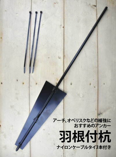 ��������������չ� �ʥ����󥿥� 3���դ� ZIK-000