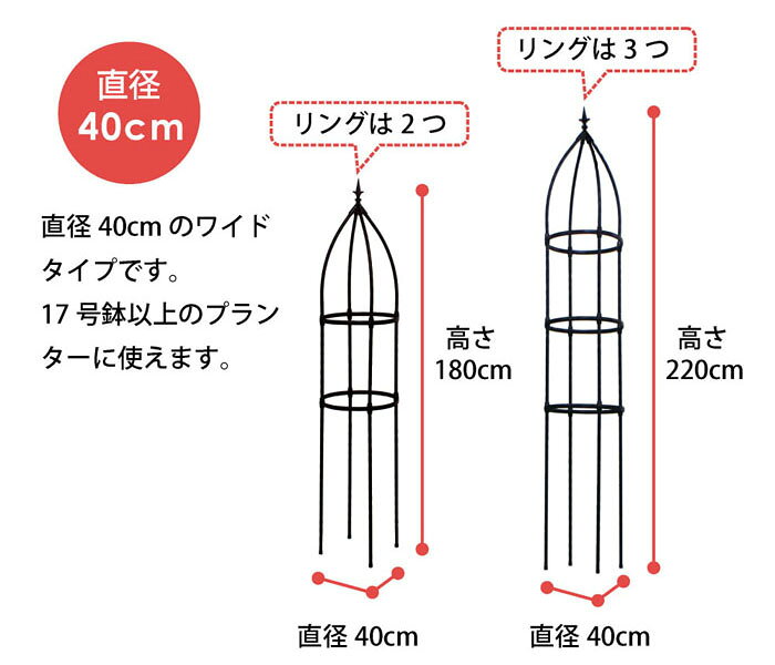 �Ȥ�Ω�ƴ�ñ���������٥ꥹ�� 40cm��180cm ZIK-000