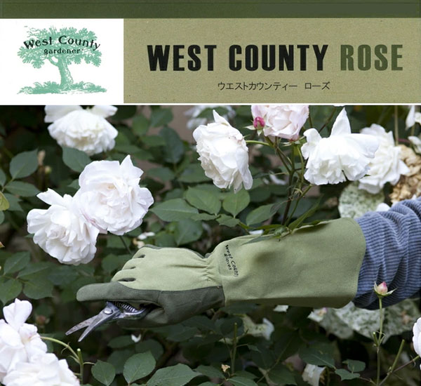 �������ȥ�����ƥ����������ڥ�ӡ���(�͹���ס��׼��ޡ�����ޡ������ǥ󥰥����֡���ǥ����� ��󥺡���ݼ���) ZIK-900