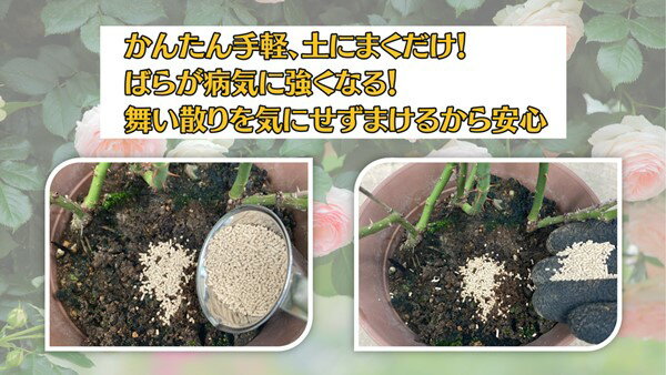 【粒タイプ】マイローズ ベニカBT殺菌粒剤 500g入 ZIK-10000