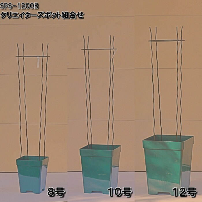 ��Bells More�۳ڡ��߷����٥ꥹ��120 SPS-1200B ���������������Բ� ��ľ���ʡ�ZIK-10000 �ԥ٥�ĥ⥢����ѥ�ա�200��