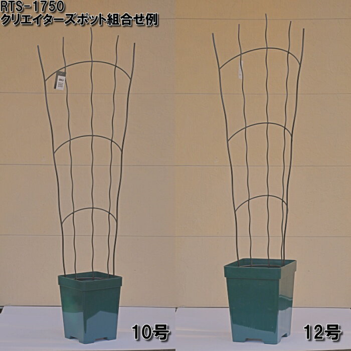 ��Bells More�ۥ饦��ɥȥ�ꥹ RTS-1750 ���������������Բ� ��ľ���ʡ�ZIK-10000 �ԥ٥�ĥ⥢����ѥ�ա�240��