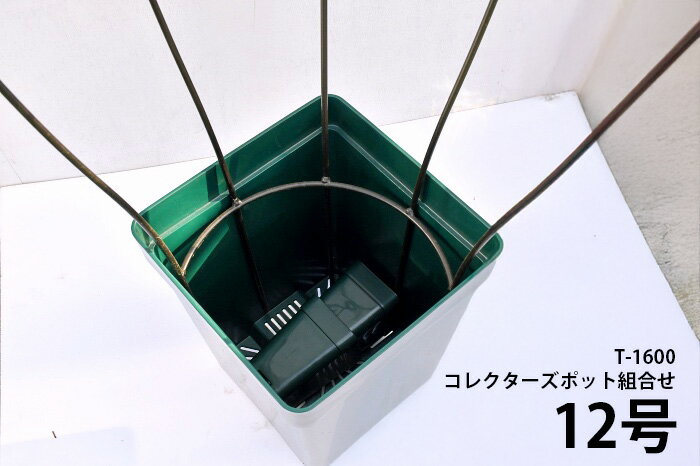 ��Bells More�ۥ������ġ��� T-1600 ���������������Բ� ��ľ���ʡ�ZIK-10000 �ԥ٥�ĥ⥢����ѥ�ա�260��