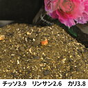 baranoie:10013957のサンプル画像2