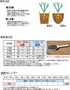 baranoie:10013957のサンプル画像3