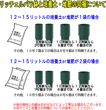 リッチェル☆バラ鉢 10号鉢 ZIK-10000