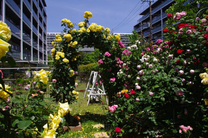 エントリーNO.RG006 マンション日陰庭 さま (神奈川県)