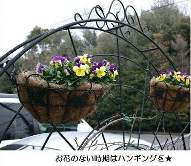 ��Bells More�ۥ����������꡼��ե��� RSF-1500 ���������������Բ� ��ľ���ʡ�ZIK-10000 �ԥ٥�ĥ⥢����ѥ�ա�C��