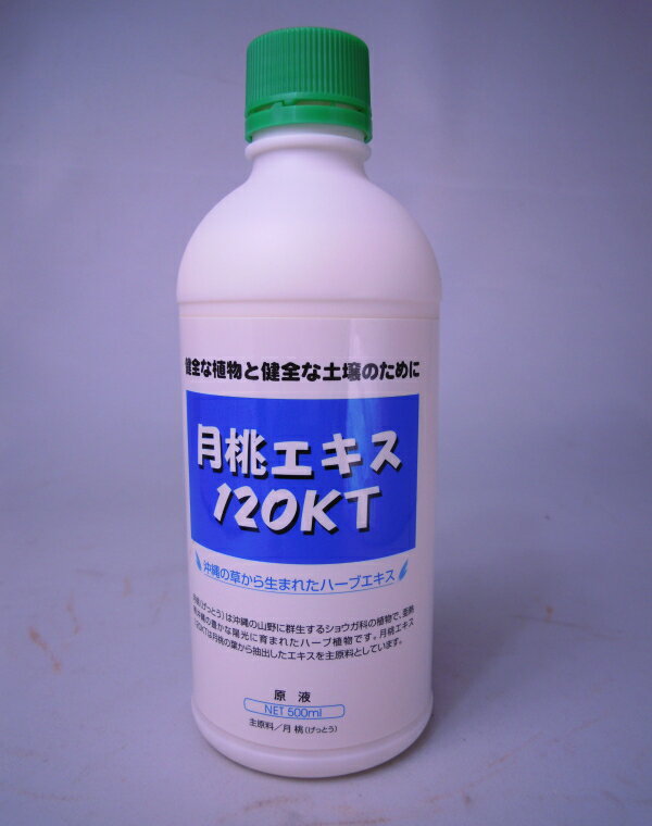 月桃エキス120KT　500ml